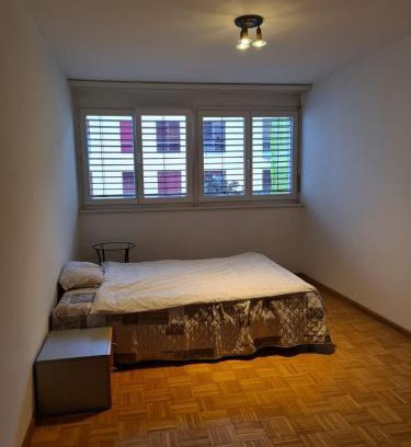 Basel City Centre Apartment | Loni