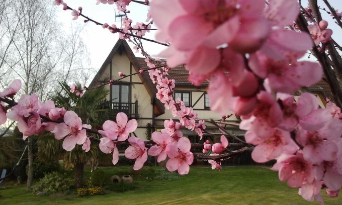 Legutiano House | Los Arces