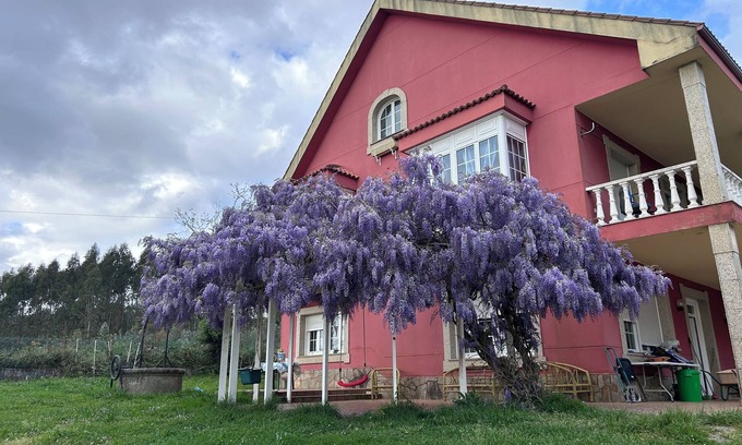 Cabanas House | LOS CEDROS