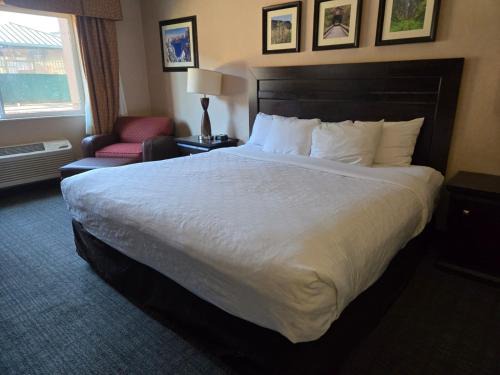 Albany Hotel | Lotus Inn