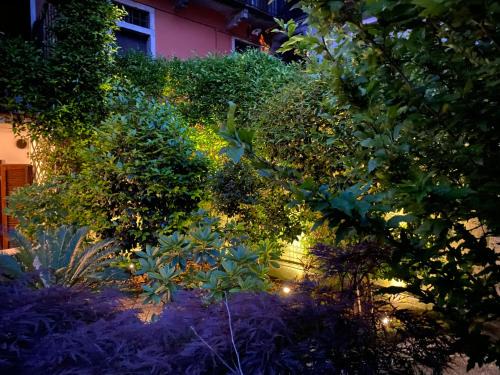 Vignone House | Love Family