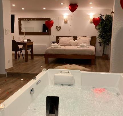 Charleville-Mezieres Apartment | Love room Unique - Sauna/Jacuzzi