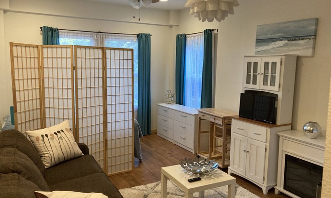 Colington Apartment | Lovely studio apartment with an indoor electric fire place