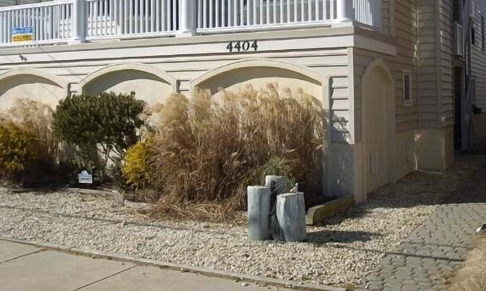 South End Condo | Luxurious Beachblock Southend Duplex, Great Views, Great Beach