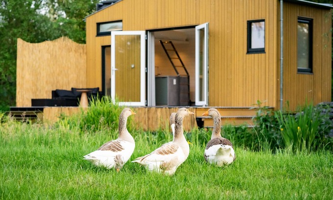 Oudesluis House | Luxurious Tiny House with terrace and great view (30min from Adam!)