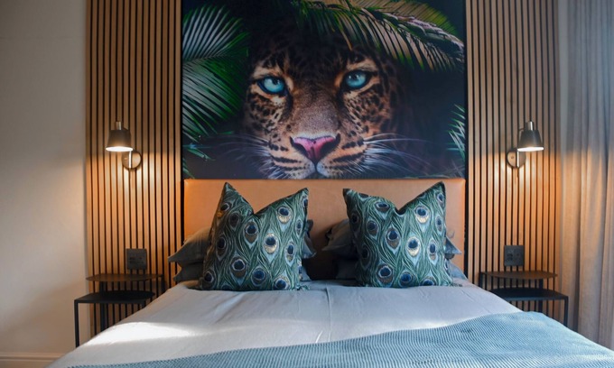 Stellenbosch Central Apartment | Luxury African Gem in Historic Stellenbosch