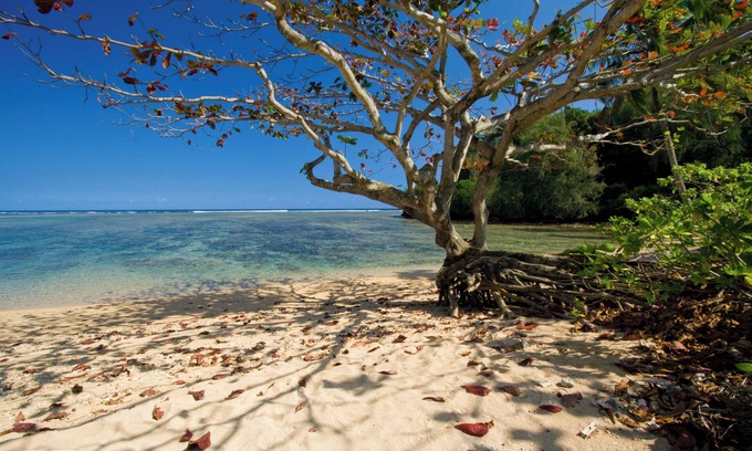 Princeville House | Luxury Beachfront Home on Beautiful Anini Beach! TVR 5079 TVR 5080