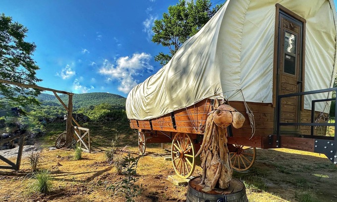 Banner Elk Cabin | Luxury Covered Wagon ,Winery with mountain and vineyard view