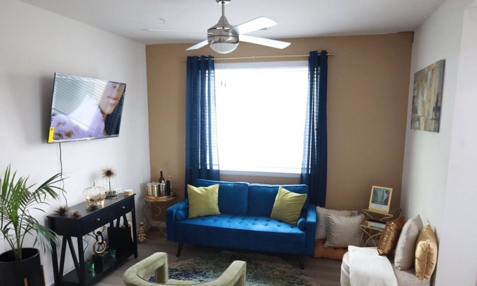 Downtown Baltimore Apartment | Luxury Downtown Baltimore Apt ,Gym, & Free street parking. Close to Inner Harbor