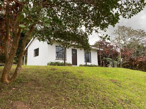 Hibiscus Coast Villa | Luxury modern farm cottage with sea view