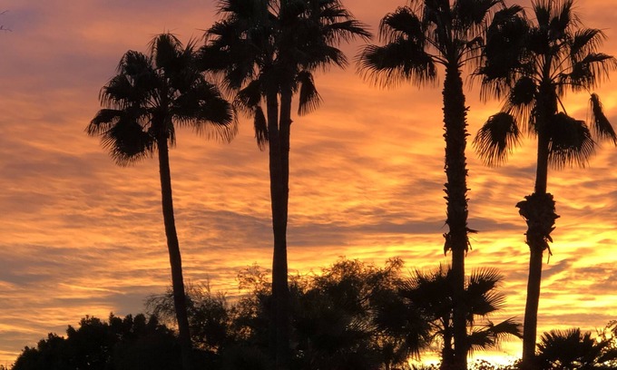 Scottsdale Foothills House | LUXURY RESORT FABULOUS SCOTTSDALE LOCATION! PRIVATE 1 ACRE OASIS ! ONE of a KIND