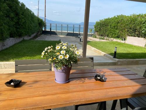 Oropos House | M & F HOUSE (παραλία Μαρκοπούλου Ωρωπού)