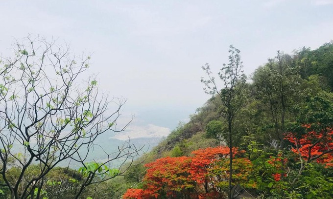 Chikkamagaluru House | Madla Mane