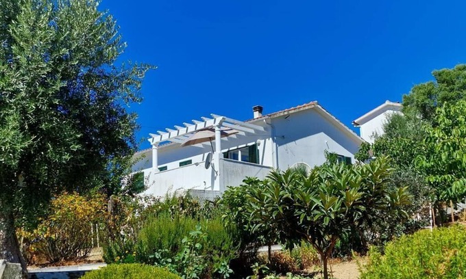 Vila de Rei House | Main House Abrunheiro Grande