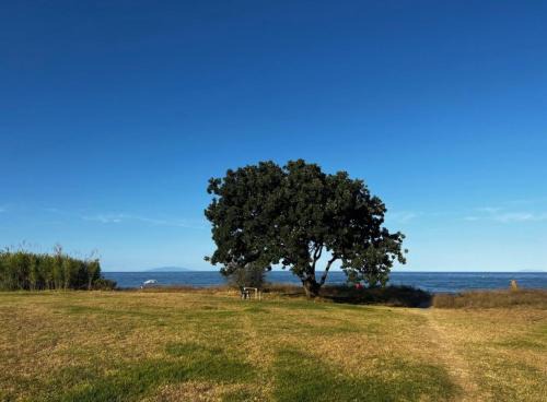 Poggio-Mezzana House | Maison a la plage