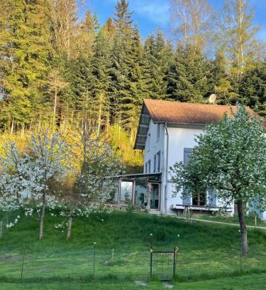 Le Clerjus House | Maison Bardoz