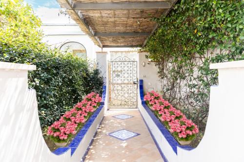 Marina Grande Apartment | Maison Blue Capri