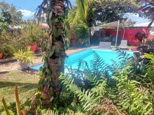 Saint-Pierre House | Maison cosy à Ravine des Cabris avec piscine partagée
