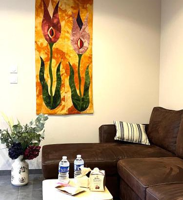 Roanne House | Maison cosy refait à neuf en centre ville