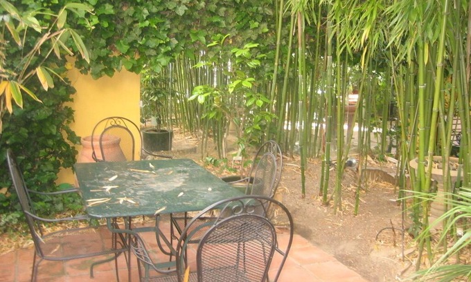 Cachan House | Maison D'artiste Avec Bambouseraie Enchanteresse aux Portes de Paris