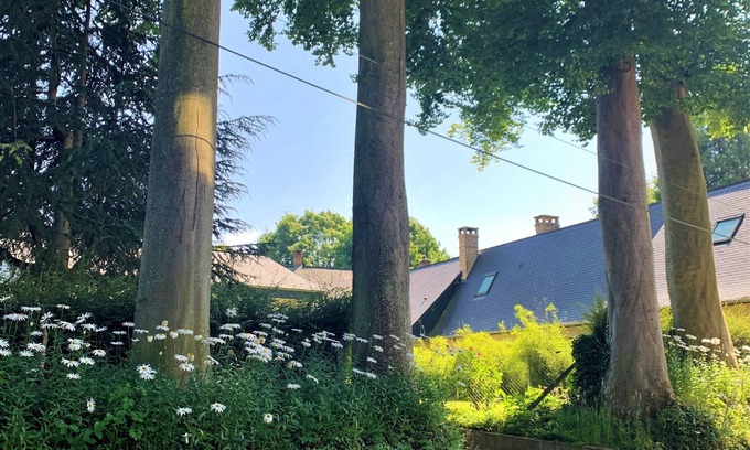La Chapelle-sur-Dun House | Maison "Le Gîte du Lin"