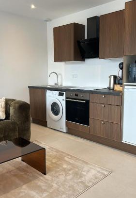 Creches-sur-Saone Apartment | Maison T2 moderne avec spa privatif