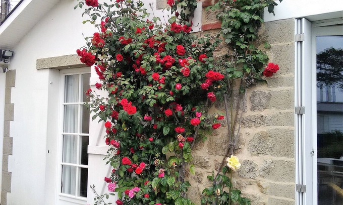 Rotheneuf-Le Pont House | Maison, Terrain Clos de 750m2 Accès 3 Plages à 200m. Vue Mer. 6 Personnes