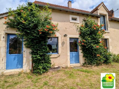 Lussac-Les-Eglises House | Maison typique en Berry avec jardin privatif, BBQ et parking - FR-1-591-598