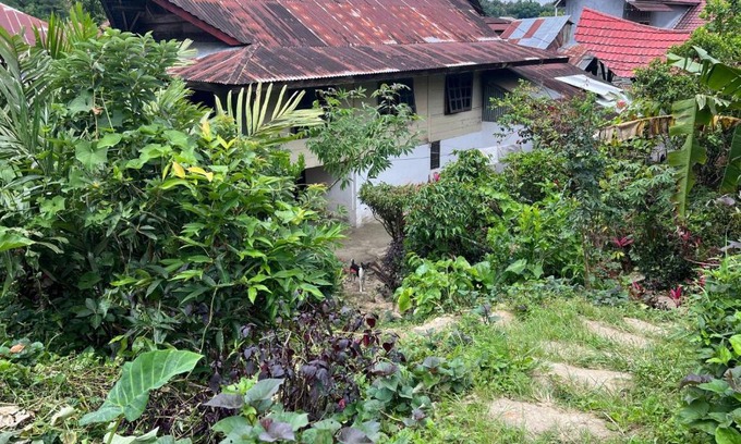 Mamasa House | Mamasa Local House