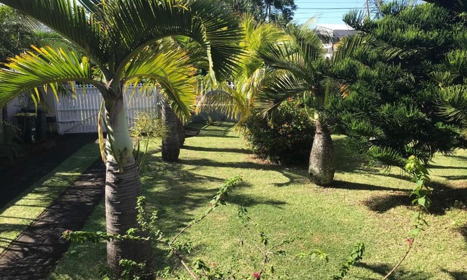 Manapany-les-Bains Bed & Breakfast | Manapescale