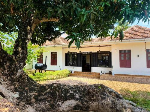 Chevella Resort | Mangowoodsheritage
