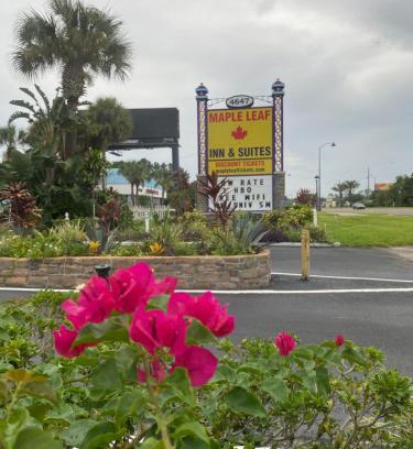 Kissimmee Hotel | Maple Leaf Inn & Suites