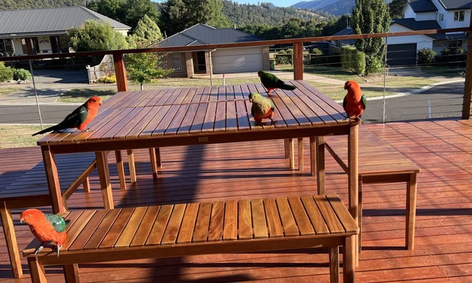 Marysville House | MARYSVILLE GUESTHOUSE