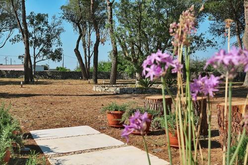 Diso House | Masseria San Nicola dei Baroni di Castiglione
