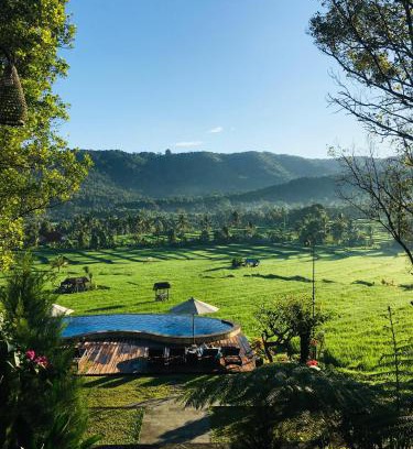 Munduk Hotel | MAYURA BALI VILLA