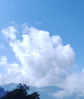 Darjeeling Apartment | MerryVilla Homes