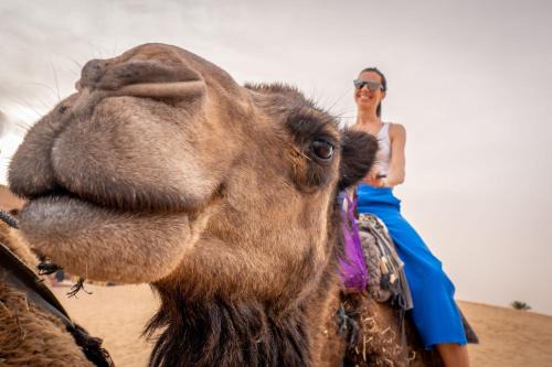 Merzouga Other | Merzouga Desert Camel Trekking