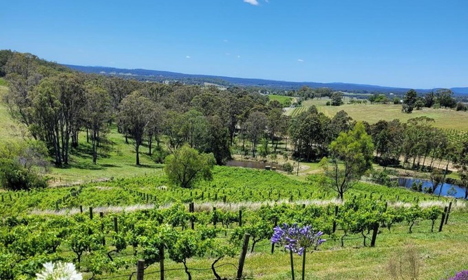 Pokolbin House | Mistress Block Vineyard
