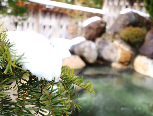 Hitoegane Hotel | Miyamaso