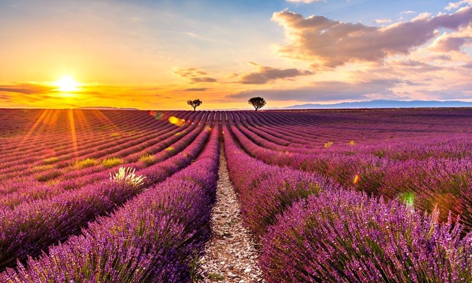 Oraison Villa | Modern air-conditioned villa with its swimming pool and breathtaking view