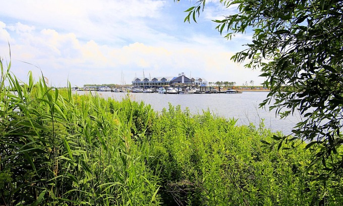 Tholen House | Modern design lodge with combi microwave