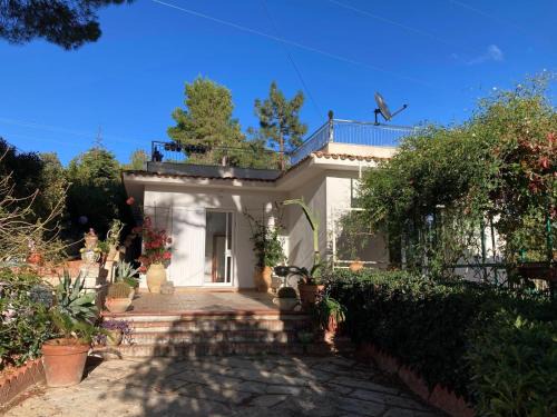 Sant'Onofrio House | Modern Design Villa in Trabia with garden - Villa Salina