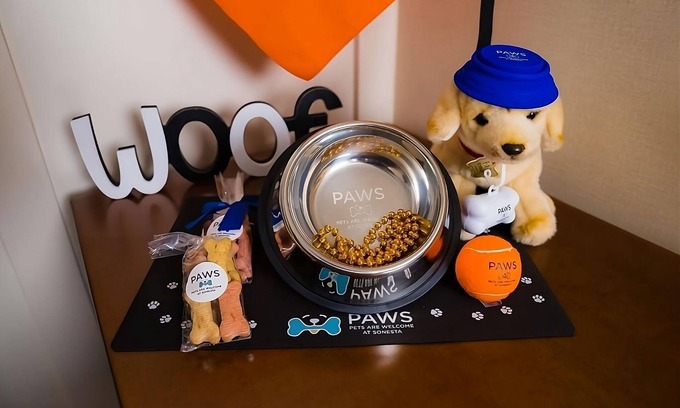 Las Colinas Hotel | Modern Escape | Pet-Friendly, Full Kitchen with Free WiFi!