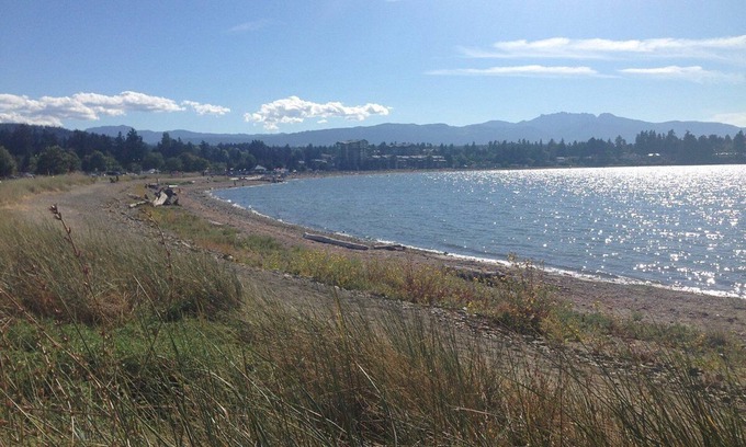 Regional District of Nanaimo Apartment | Modern Upper Level 1 BR | Fast wifi