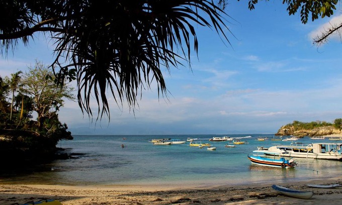 Mushroom Bay Resort | MolaMola House
