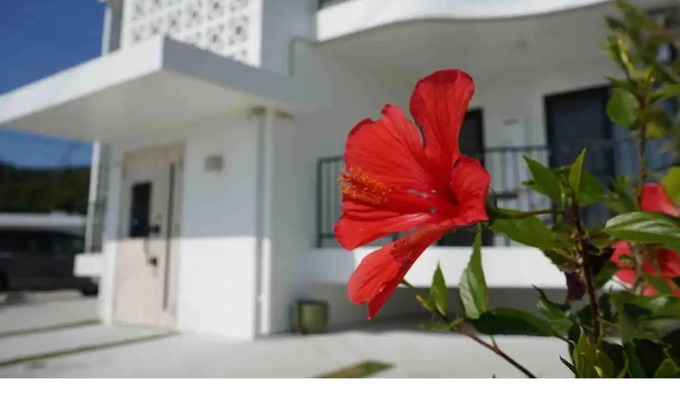 Kin Apartment | Monthly This is a 2LDK hotel near the rising sea / Kunigami-gun Okinawa