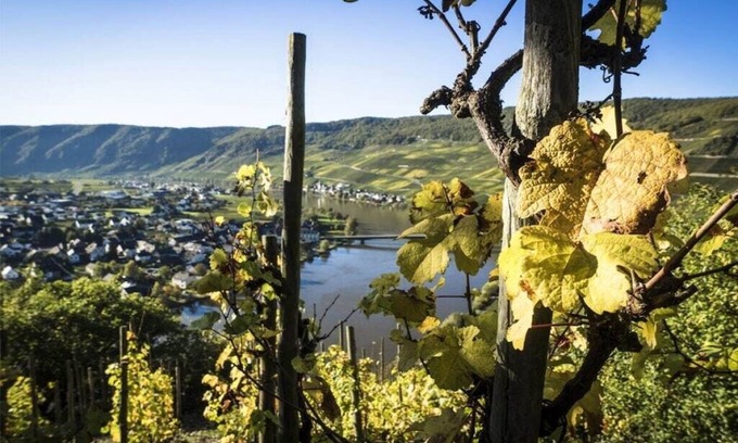 Piesport House | Moselsteig (EG) im Ferienhaus Weitblick