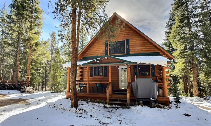 Leadville North Cabin | Mountain Log Home-Among Lodgepole Pines