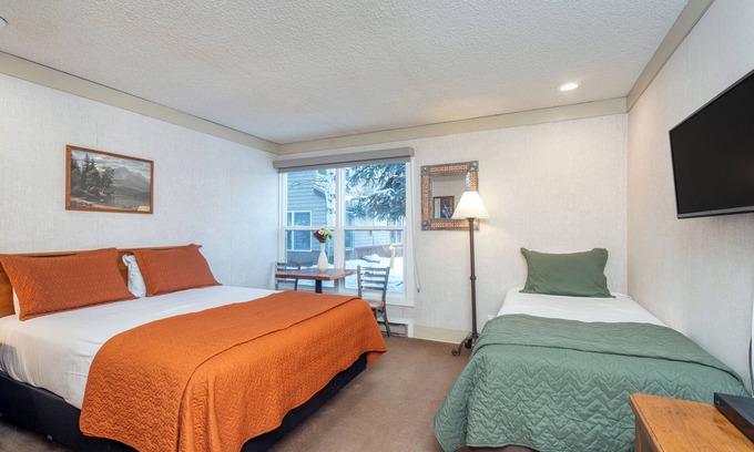 Telluride Hotel | Mountainside Inn Pet-Friendly Room With Kitchenette