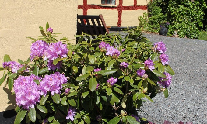 Borkop Bed & Breakfast | Munkebjerg Bed & Breakfast